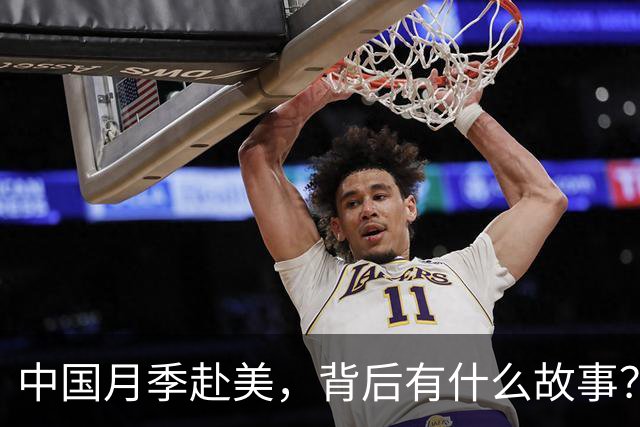 中国月季赴美，背后有什么故事？
