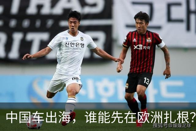 中国车出海，谁能先在欧洲扎根？