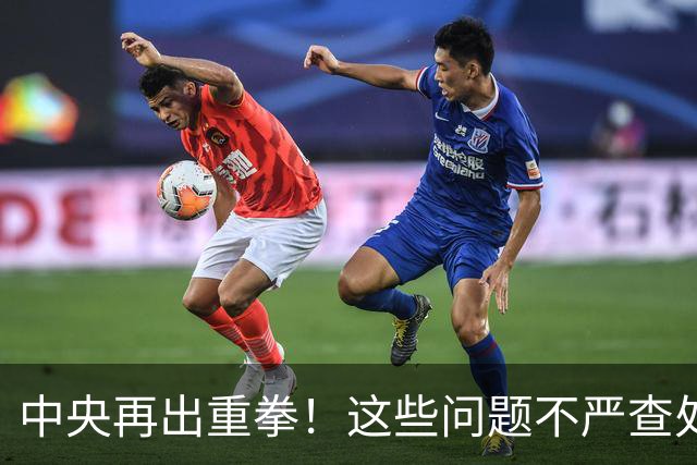 中央再出重拳！这些问题不严查处的，直接追究地方领导责任！