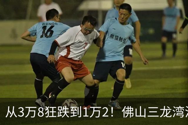 从3万8狂跌到1万2！佛山三龙湾泡沫破灭，广佛候鸟亏惨了？