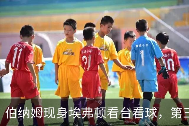 伯纳姆现身埃弗顿看台看球，第三球进账，他和妻子一起跳了起来