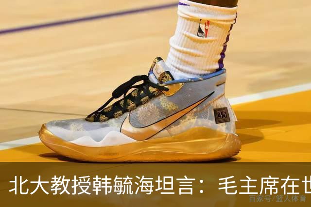 北大教授韩毓海坦言：毛主席在世的时候，我完全没有能力真正理解他！