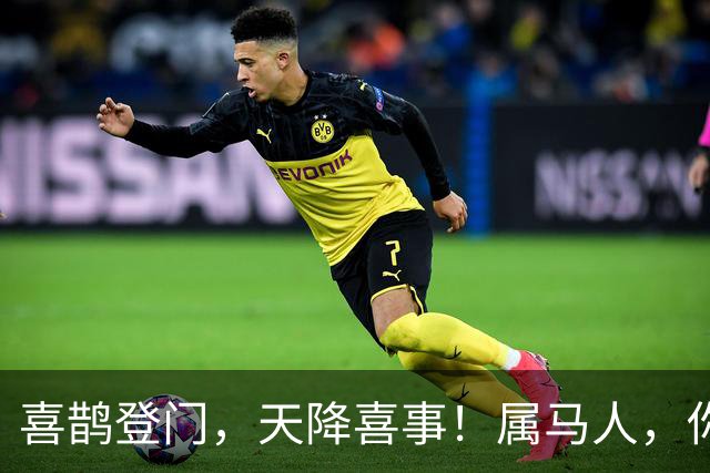 喜鹊登门，天降喜事！属马人，你的好日子从今天开始