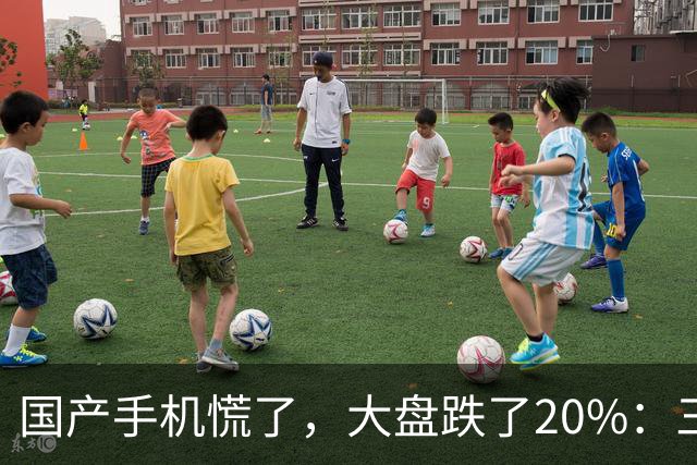 国产手机慌了，大盘跌了20%：三星、苹果在涨，国产机在跌！