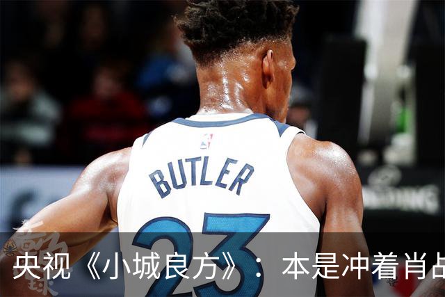 央视《小城良方》：本是冲着肖战看得，却被40岁的女三号惊艳了!