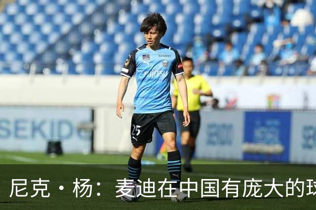 尼克·杨：麦迪在中国有庞大的球迷大军 他们早就把阿里纳斯忘了