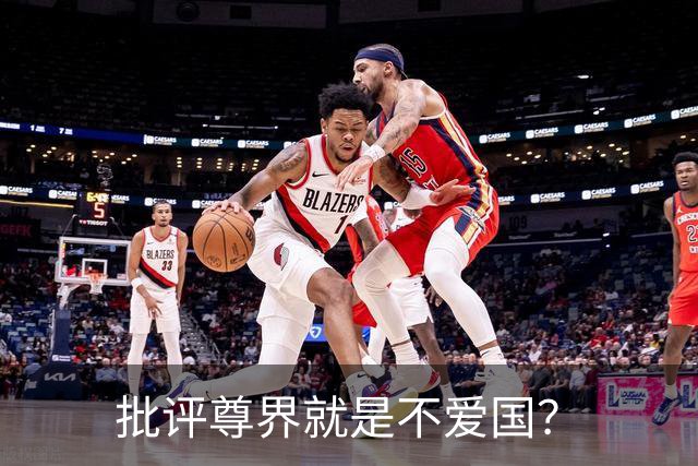 批评尊界就是不爱国？