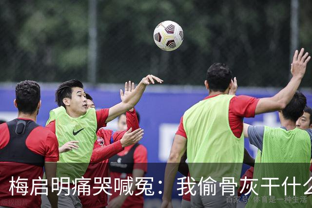 梅启明痛哭喊冤：我偷骨灰干什么？那是我亲妹!