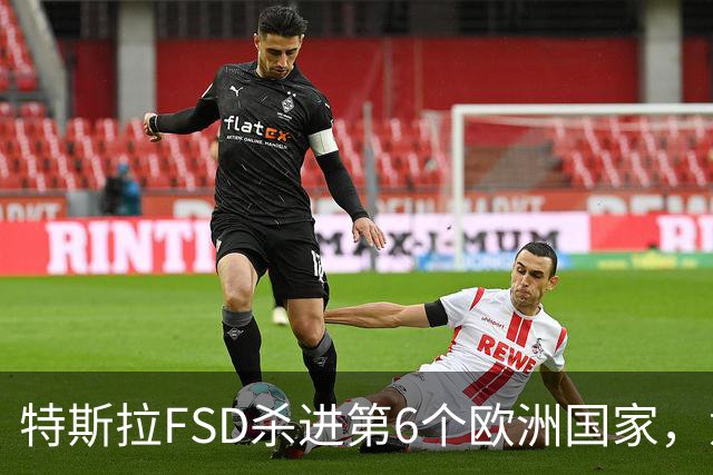 特斯拉FSD杀进第6个欧洲国家，意大利就差临门一脚