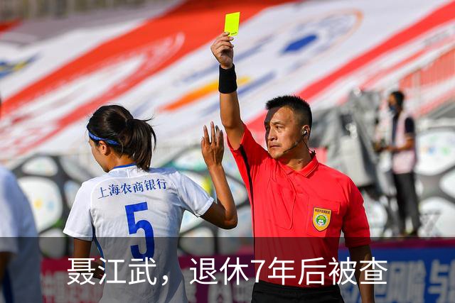 聂江武，退休7年后被查
