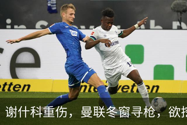 谢什科重伤，曼联冬窗寻枪，欲挖死敌当家射手，难度之大远超预期