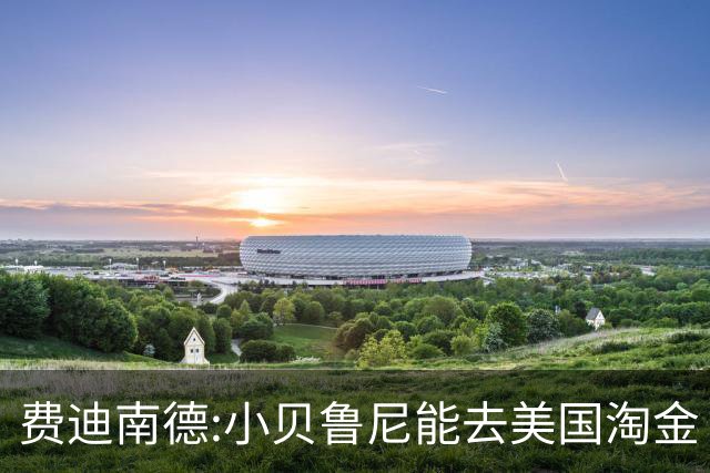 费迪南德:小贝鲁尼能去美国淘金 C罗也可以去沙特
