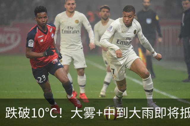 跌破10℃！大雾+中到大雨即将抵达