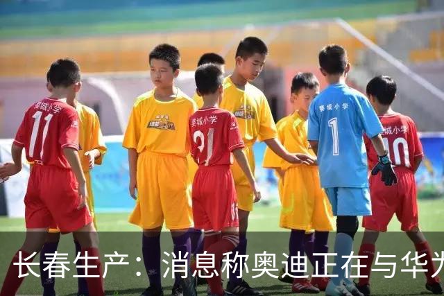 长春生产：消息称奥迪正在与华为谈判，共同开发新一代中国版A8