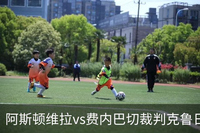 阿斯顿维拉vs费内巴切裁判克鲁日利亚克数据：近20场4红82黄12点