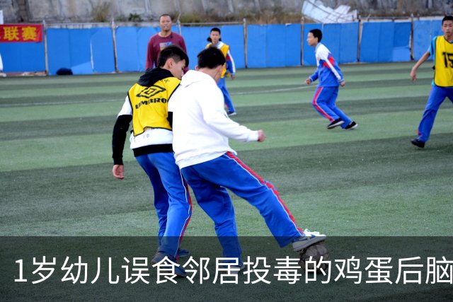 1岁幼儿误食邻居投毒的鸡蛋后脑萎缩，家长称3只狗也被毒死