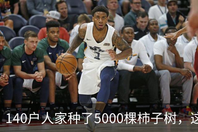 140户人家种了5000棵柿子树，这个浙江小村国庆6天来了8万人