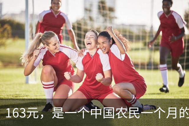 163元，是一个中国农民一个月的全部尊严和保障吗？